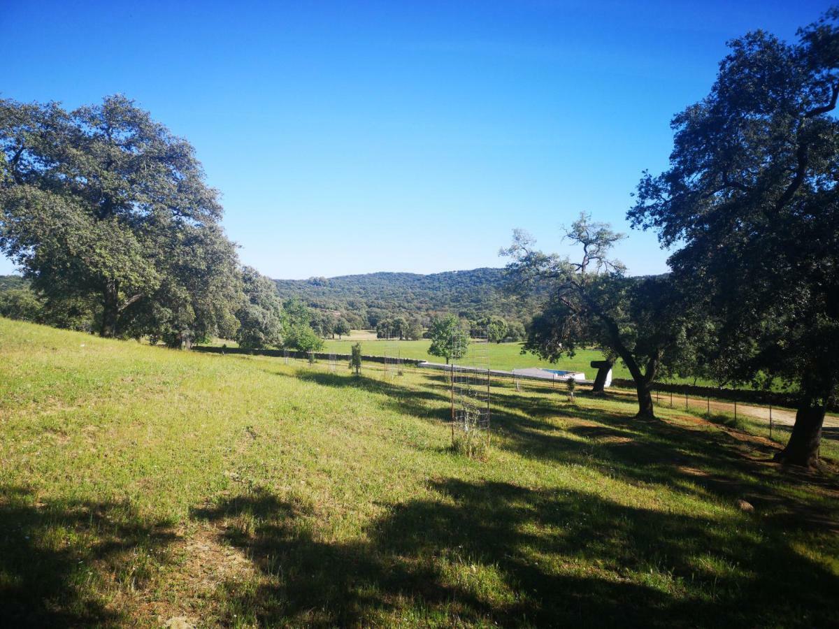 Casa Rural La Dehesilla Касала де ла Сиера Екстериор снимка