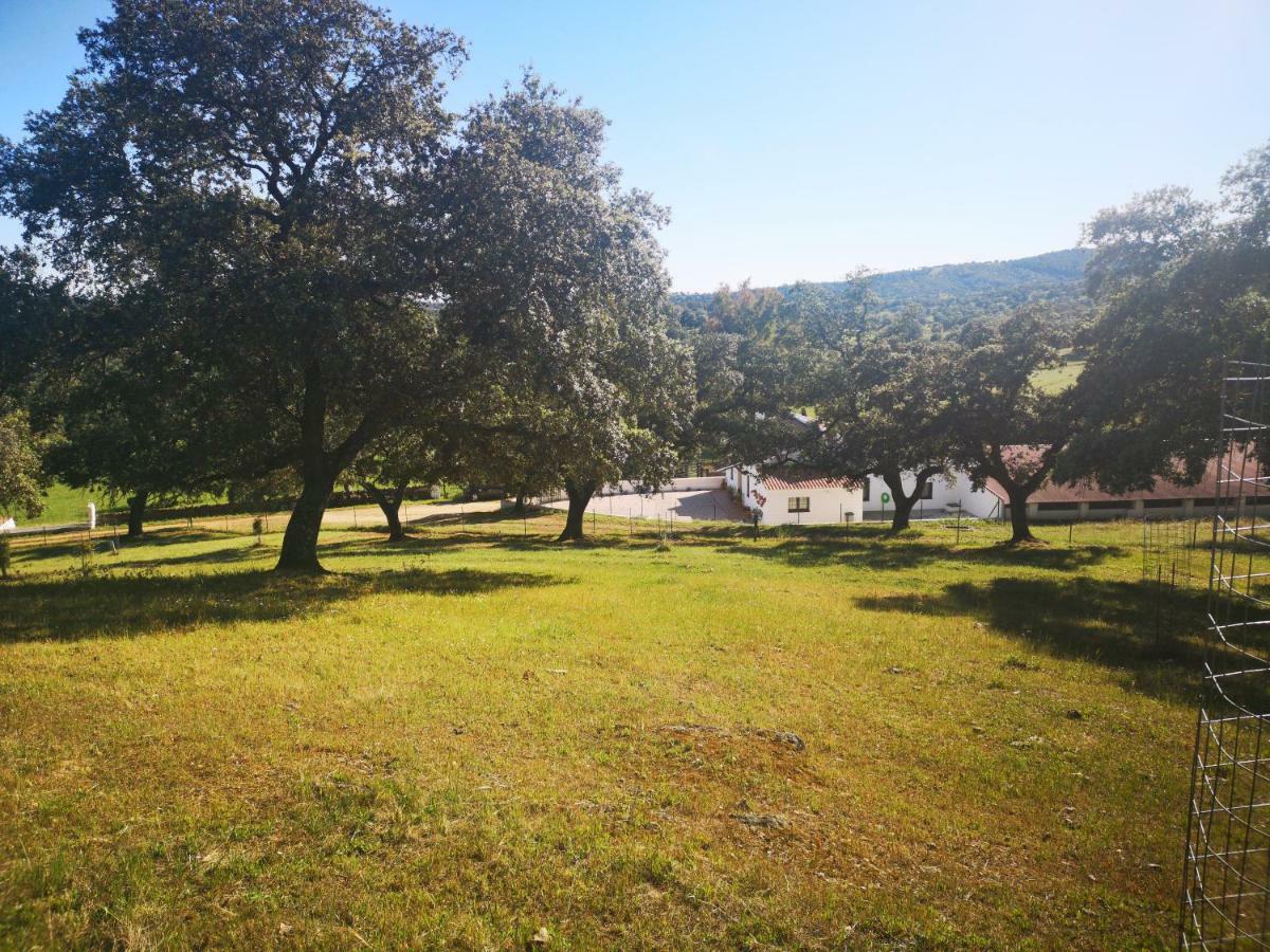 Casa Rural La Dehesilla Касала де ла Сиера Екстериор снимка